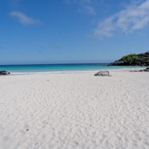 puerto chino beach landscape 2