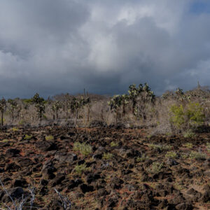 red volcanic landscape 2