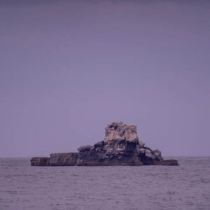 rocks with birds at sea isabela island galapagos