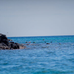 snorkelers heads above the sea 1