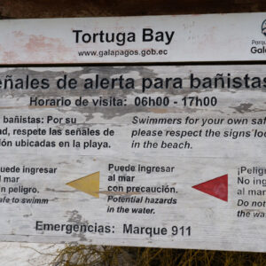 tortuga bay sign