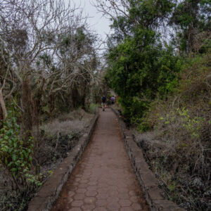 trail to tortuga bay santa cruz galapagos 4