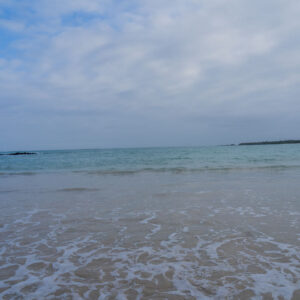turquoise sea