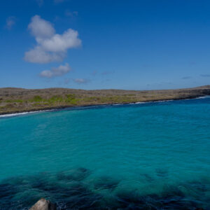turquoise sea puerto chino galapagos 1