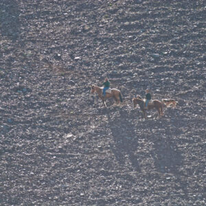 two muleteers on a rocky hillside