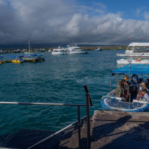 view from water taxi dock santa cruz galapagos 1
