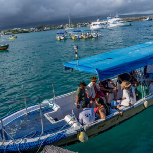 view from water taxi dock santa cruz galapagos 3