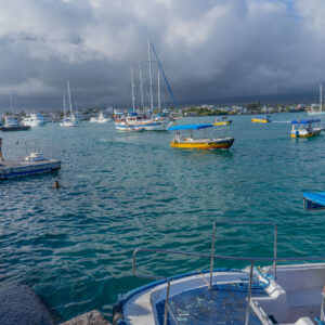 view from water taxi dock santa cruz galapagos 4