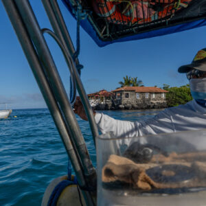 water taxi boat driver
