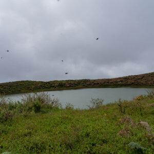 wide shot of lagoon with flying frigatebirds 2