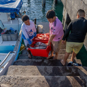 young people on pier receiving catch 10