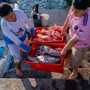 young people on pier receiving catch 11