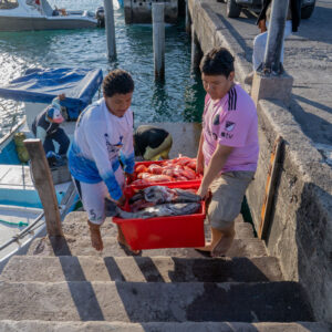 young people on pier receiving catch 13