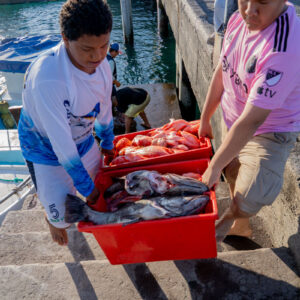 young people on pier receiving catch 14