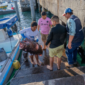 young people on pier receiving catch 15