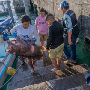 young people on pier receiving catch 16