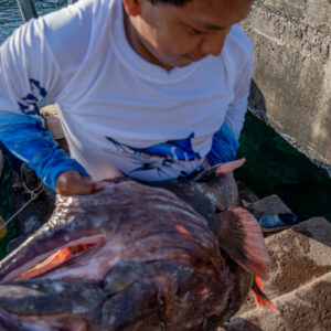 young people on pier receiving catch 21