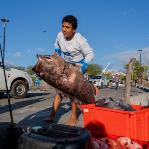 young people on pier receiving catch 27