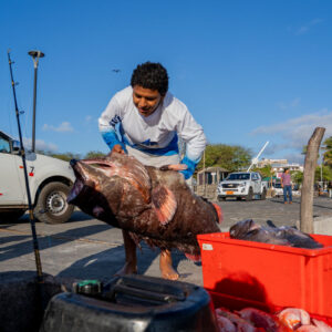 young people on pier receiving catch 28