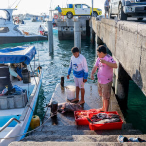 young people on pier receiving catch 8