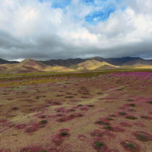 entrance to desierto florido national park 2 — video footage