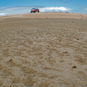 landscape sand with crabs and a buggy in the background