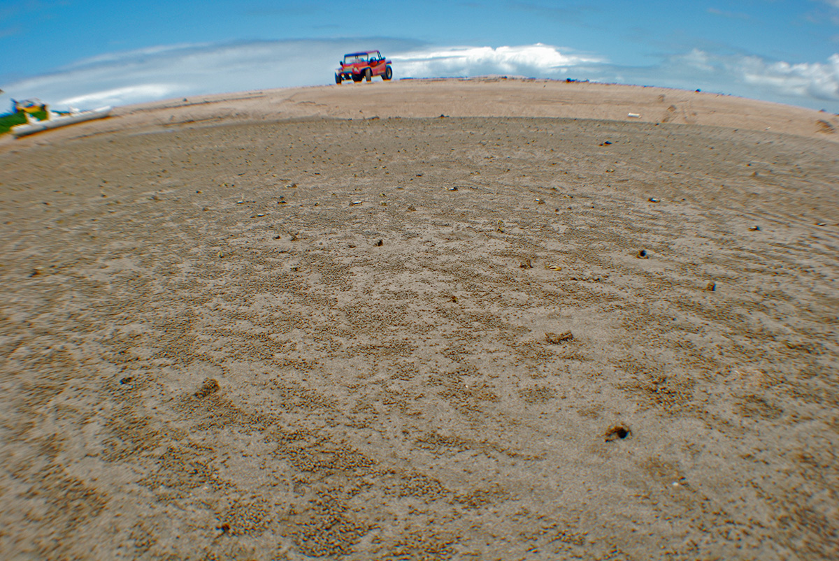 landscape sand with crabs and a buggy in the background