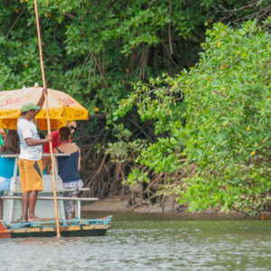 landscape tourists on a raft navigating a river